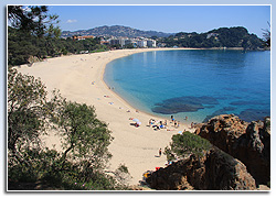 Platja de Fenals